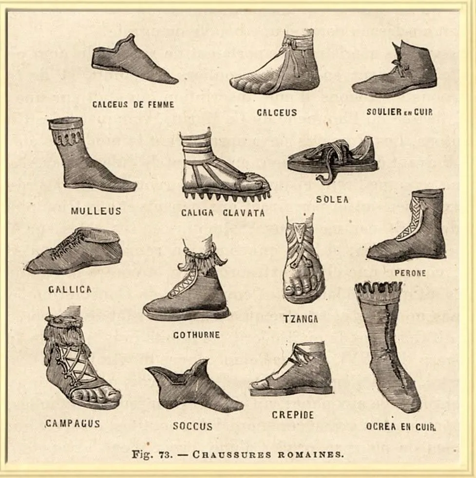 Planche ancienne des chaussures romaines : calceus, caliga, solea, gallica